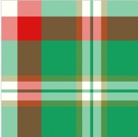   Medvyed Tartan 