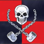 skull_shackles_flag.png